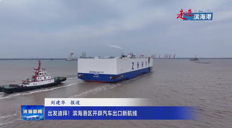 【走進濱海港】出發(fā)迪拜！濱海港區(qū)開辟汽車出口