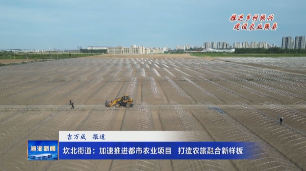 【推進鄉(xiāng)村振興建設(shè)農(nóng)業(yè)強縣】坎北街道：加速推
