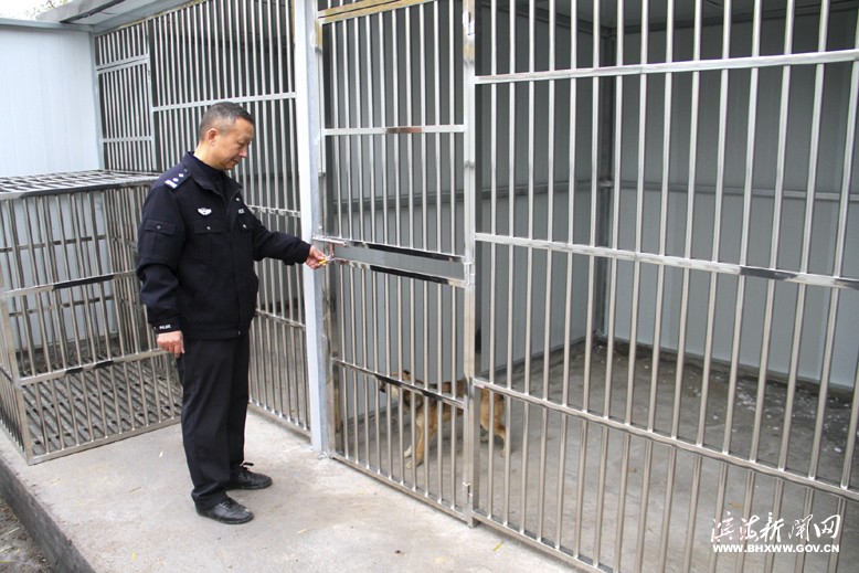 縣公安局開展流浪犬、無(wú)主犬收容行動(dòng)