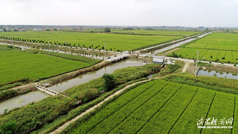 我縣強化農(nóng)業(yè)發(fā)展基礎保障