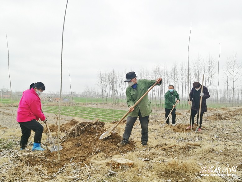 各鎮(zhèn)（區(qū)、街道）掀起植樹綠化熱潮